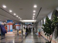 -厦门高崎国际机场-T3航站楼