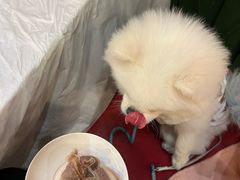-活潑鲜跳(湖滨商业街店)