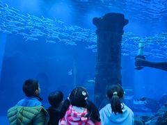 -哈尔滨波塞冬海底世界