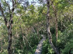 -白草畔自然风景区