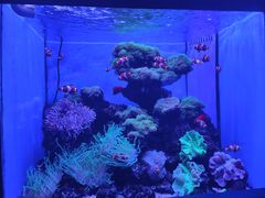 -多彩贵州城极地海洋世界