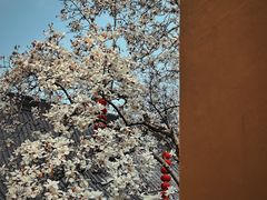 -杭州上天竺法喜讲寺