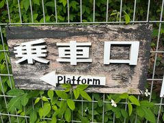 -岚山嵯峨野观光小火车