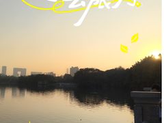 -海珠湖公园