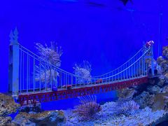 -太平洋海底世界