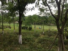 -火炉山森林公园