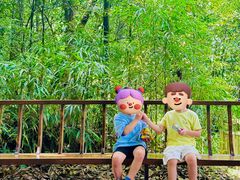 -中国大熊猫保护研究中心雅安碧峰峡基地