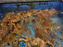 -东海怡品海鲜豆捞(星街坊店)