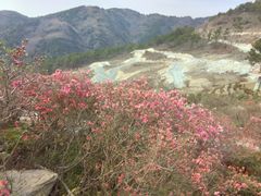 -木兰云雾山