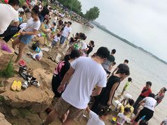 -丁香湖公园