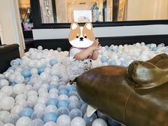 -Barbe a papa亲子餐厅(杨浦店)