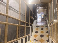 -奈尔宝·儿童乐园·亲子餐厅(苏州大悦城店)