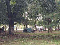 -长白岛森林公园