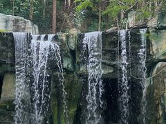 -顺峰山公园