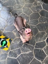 -Zoolung Zoolung动物主题公园(海信广场店)