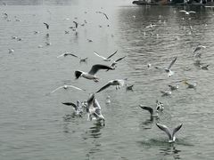 -云龙湖旅游景区