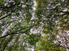 -昆山城市生态森林公园