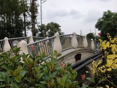 -上海长兴岛郊野公园