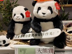 -轩客会(熊猫书店)