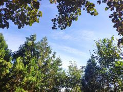 -北京西山国家森林公园