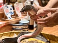 -炉胜·炉端烧·居酒屋