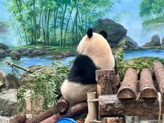 -杭州动物园