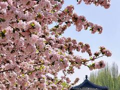 -海棠花溪(元大都城垣遗址公园)