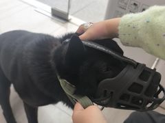 -申普宠物医院·眼科·心内科·影像科(普陀分院)