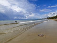 -三亚湾海居铂尔曼度假酒店