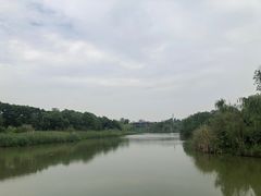 -白鹭湾湿地公园