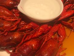 -杨氏青龙虾·羊蝎子(托乐嘉店)