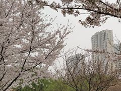 -白塘生态植物园