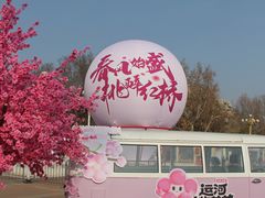 -桃花堤公园