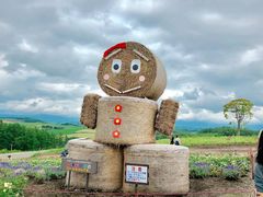 -富田农场