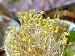 -青山青豆花·笑禅豆腐鱼(黄泥塝店)