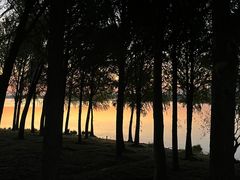 -贡湖湾湿地公园
