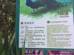 -灵玲国际马戏城