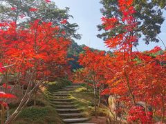 -广州市帽峰山景区