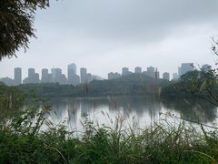 -贵阳中天凯悦酒店