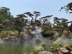 -罗红摄影艺术馆