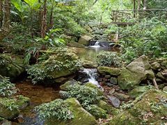 -海南热带雨林国家公园吊罗山景区