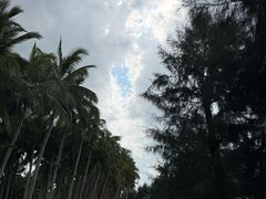 -万绿园