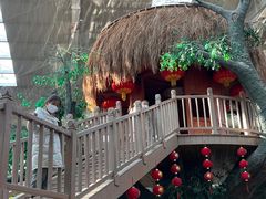 -南宫五洲植物乐园