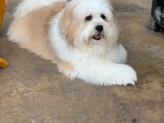 -TrueLove @ Neverland (Husky Cafe)