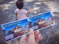 -海南槟榔谷黎苗文化旅游区
