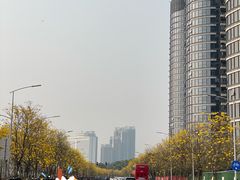 -洲头咀公园