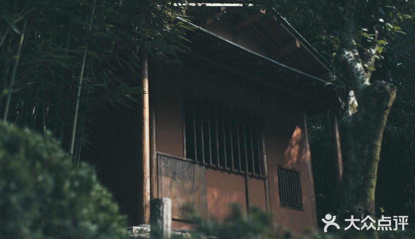 重庆旅游✈️超好拍的小众景点