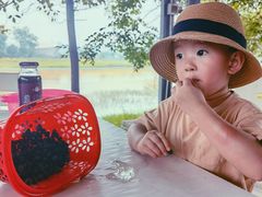 -金谷域澳洲庄园