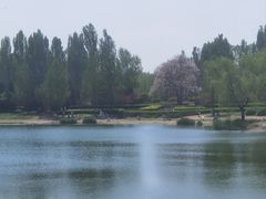 -北坞公园