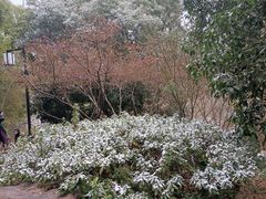 -岳麓山风景名胜区